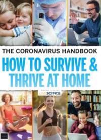 The Coronavirus Handbook HoW To Survive & Thrive At Home