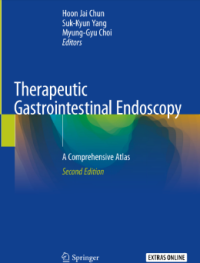 Therapeutic Gastrointestinal Endoscopy