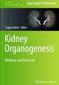 Kidney Organogenesis