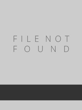 The American Heritage High School Dictionary